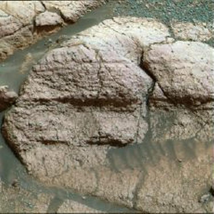 Nærfoto af noget af den klippe, som har fået NASAs forskere til at konkludere, at der har flydt vand på Mars. - Foto: AP 