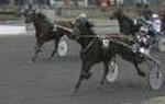 Ellington nr. 2 til Alv Sitting Bull