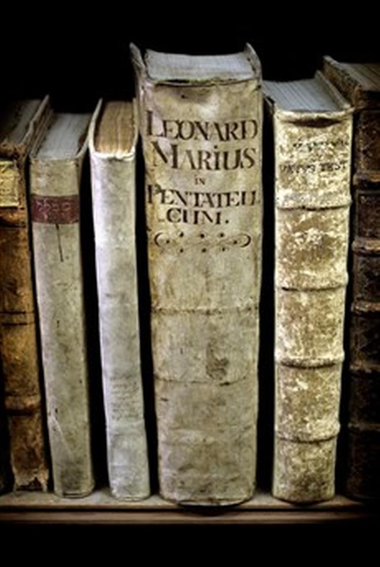 Det Kongelige Bibliotek opbevarer nu sine sjældneste og mest værdifulde bøger i aflåste magasiner. - Foto: Peter Hove Olesen 