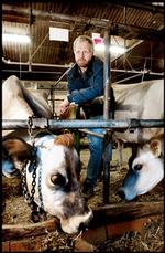 Steen Nørgaard Madsen er sikker på, at hans køer vil blive sundere og give mere mælk, hvis han kan fodre dem med gensplejset græs, men det er op til forbrugerne.   Foto: Rasmus Baaner 