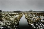 Vandløbet, der bugtede sig henover engen i Sorø. - Foto: Jan Grarup 