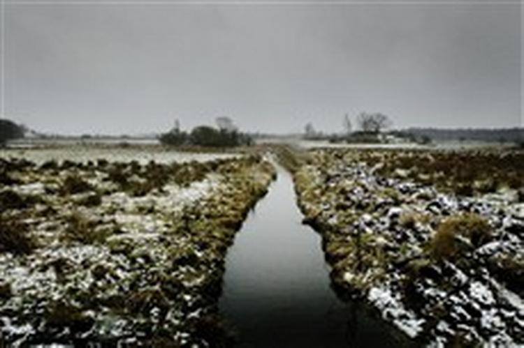 Vandløbet, der bugtede sig henover engen i Sorø. - Foto: Jan Grarup 