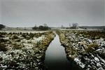 Stridens kerne - vandløbet i Sorø. - Foto: Jan Grarup 