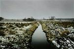 Det fredede vandløb - stridens kerne. - Foto: Jan Grarup 