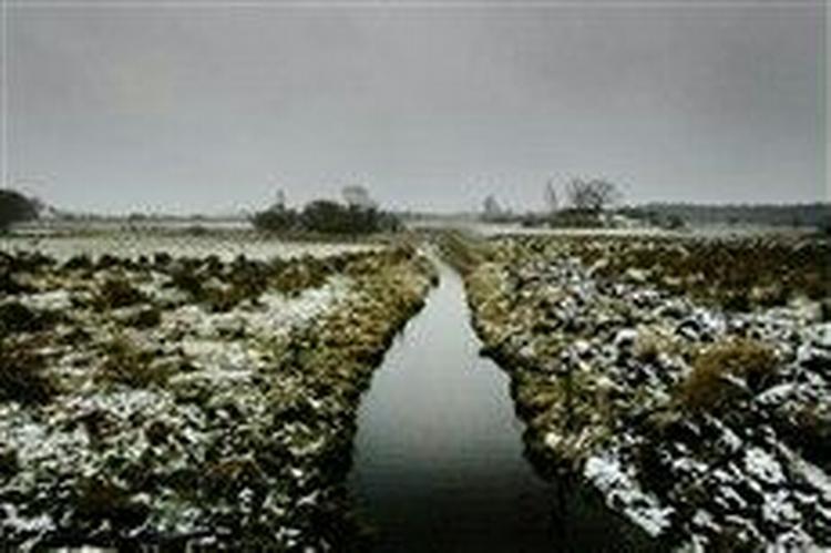 Det fredede vandløb - stridens kerne. - Foto: Jan Grarup 