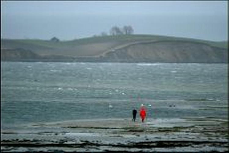 Den kraftige blæst har nærmest tømt bugten ved Dyreborg nær Fåborg på Fyn for vand. - Foto: Lars Skaaning 