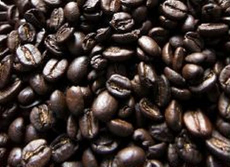 En ny rapport fra Verdensbanken afslører, at kaffepriserne nu har nået det laveste prisniveau i 100 år. - Foto: Claus Bonnerup 