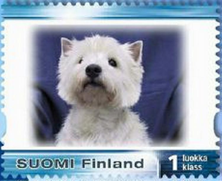 Hunden Pablo - nu på frimærke. - Foto. AP 