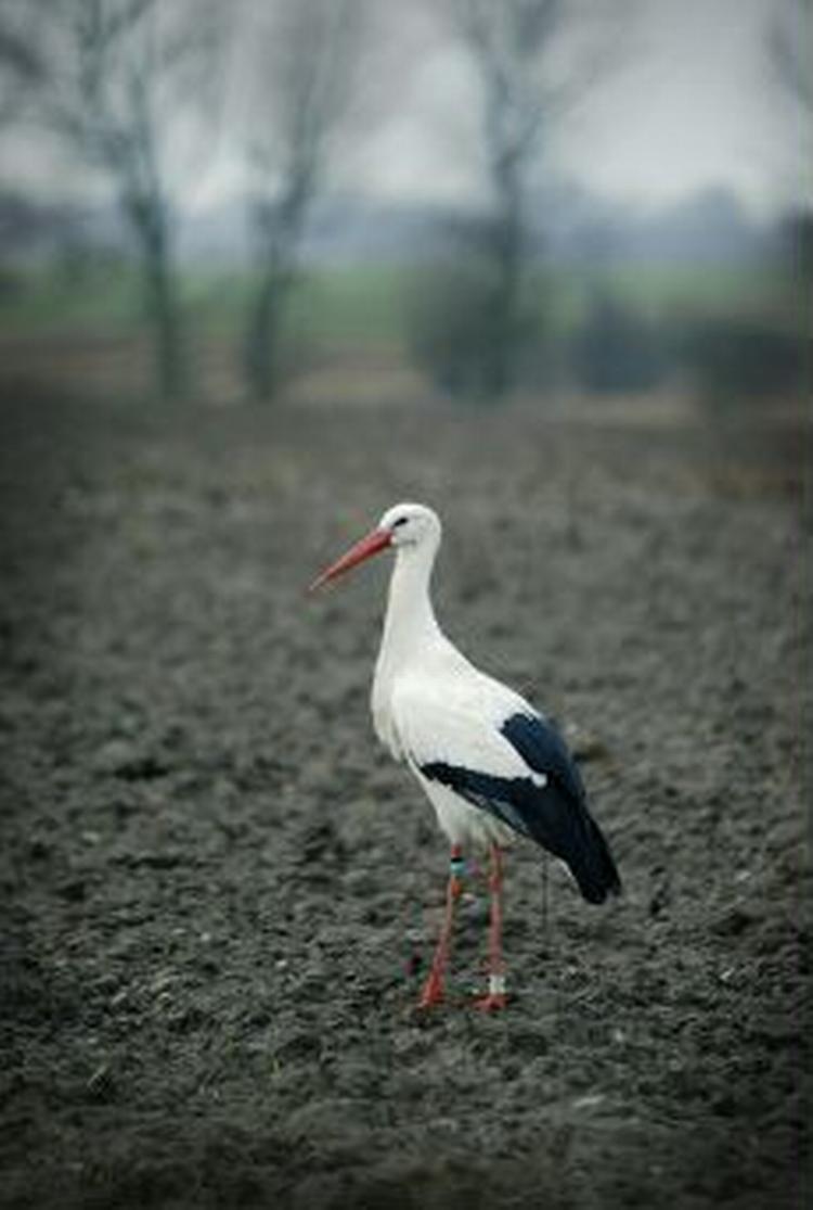 Arkivfoto: Morten Langkilde 
