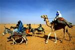 Sudanesiske flygtninge på vej til nabolandet Tchad på flugt fra borgerkrig. - Foto: AP 