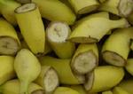 Bananer - politiets nye våben? - Foto: Kim Agersten 