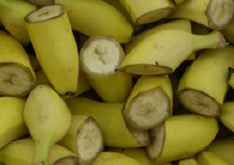 Bananer - politiets nye våben? - Foto: Kim Agersten 