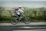 Politikerne har et misvisende billede af, hvor farligt det er at køre på cykel. - Arkivfoto: Morten Langkilde 