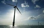 Fyringerne i Vestas kommer oven på fusionen med den hidtidige konkurrent NEG Micon. - Arkivfoto: Lars Skaaning 