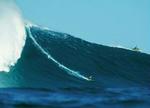 Surf hører til i fritiden (og til havs?). Og ikke i arbejdstiden på internettet, påpeger en ny undersøgelse. - Foto: AP 