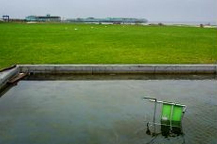 Det økonomiske hul på 50 millioner kroner opstod, da Naturklagenævnet forleden sagde nej til at ophæve fredningen på en del af stranden. - Arkivfoto: Jakob Carlsen 