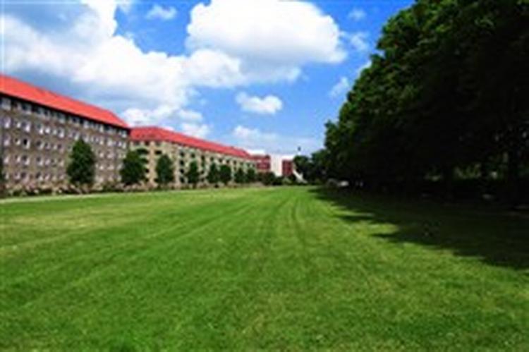 Så er det i gang med tusserne. Nørrebroparken skal shines op, og alle er inviteret til at deltage i konkurrencen om, hvordan den skal se ud. - Privatfoto 
