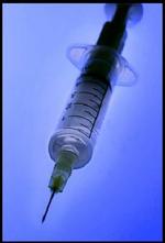 Vaccinationsordningen vil også gælde i 2004. - Foto: Kim Nielsen 