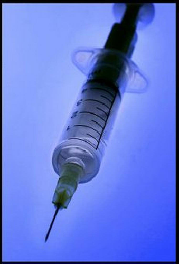 Vaccinationsordningen vil også gælde i 2004. - Foto: Kim Nielsen 