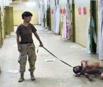PRISONER ABUSE