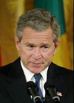 Den amerikanske præsident Bush er forfærdet efter at have set endnu ikke offentliggjorte billeder af amerikanske soldaters tortur af irakiske fanger. - Foto: AP 