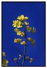 Foto: Claus Bonnerup 