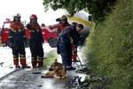 Lastbiler er part i mange trafikulykker. - Arkivfoto: Claus Bonnerup 