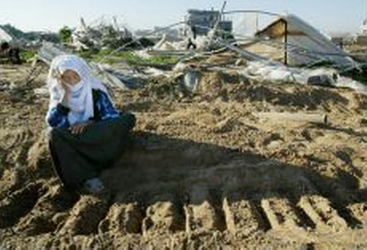 En palæstinensisk kvinde sidder i sporet efter en israelsk bulldozer, der har ødelagt hendes hjem i Tel Sultan-området af flygtningelejren i Rafah. - Foto: AP 