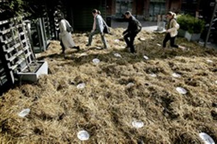 De studerende på Den Sociale Højskole i København måtte i nærkontakt med to ton hestemøg tirsdag morgen. - Foto: Peter Hove Olesen 