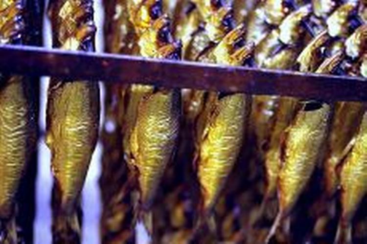 Et nyt fiskeforbud i dele af Østersøen giver fiskerne på Bornholm nye problemer. - Foto: Tine Harden 