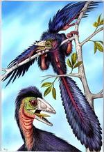 Oldfuglen Archaeopteryx havde fjer på kroppen som en moderne fugl, har danske forskere vist.   Foto: Luis Rey 