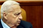 Ariel Sharon kæmper en hård kamp for at få sin Gaza-plan vedtaget. - Foto: AP 