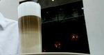En macchiato består af en espresso med et skvæt varm mælk, men den fås også i en latte-version. - Foto: Thomas Wilmann 