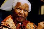 Håret er for længst blevet hvidt, men først i en alder af 85 år beslutter Nelson Mandela nu at trække sig tilbage fra offentlighedens søgelys. - Foto: AP 