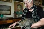 Fredag forsvarer Dorthe Falcon Møller sin doktordisputats om danske pianoforter. - Foto: Hilde Lillejord 