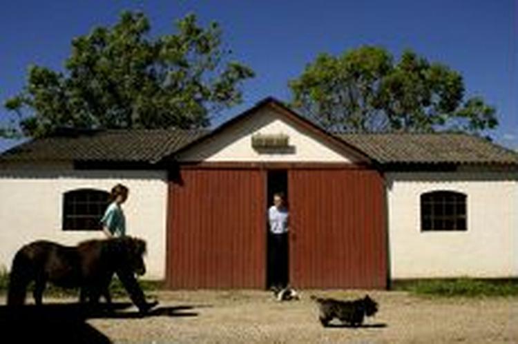 Lektor og økologisk landmand Christian Friis Bach ses her sammen med datteren Anna, shetlandsponyen Frig, den lille hund Trille og den noget større Mathilde.   Foto: Peter Hove Olesen 
