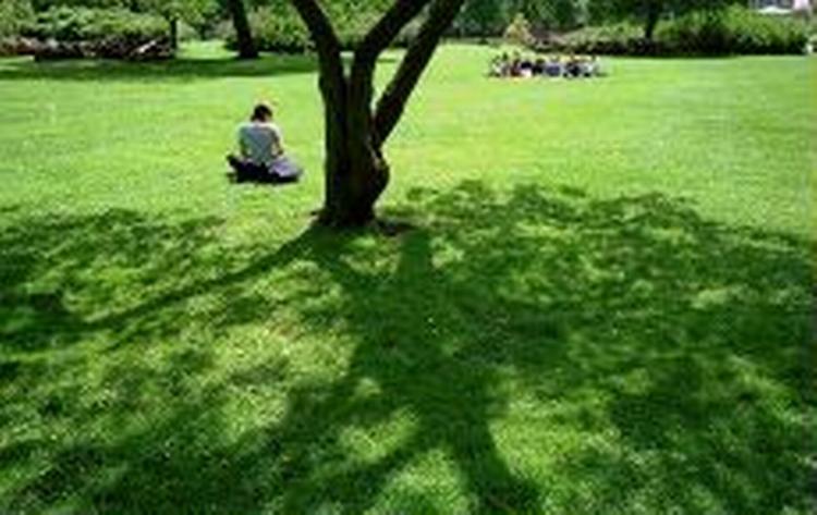 Solskin i Kongens Have i København skal der nok komme, men vi slipper nok ikke for regn. - Foto: Lars Hansen 