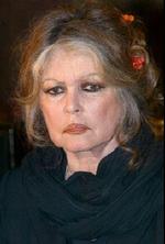 Den tidligere filmstjerne Brigitte Bardot har modtaget endnu en bøde for rascisme. - Foto: AP 