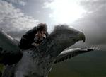 Hippogriffen Stormwind er en bonusoplevelse i 'Fangen fra Azkaban'. Det er næsten ikke til at tro, at den ikke findes. - Foto: Sandrew/Metronome 