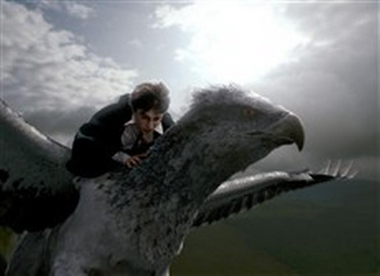 Hippogriffen Stormwind er en bonusoplevelse i 'Fangen fra Azkaban'. Det er næsten ikke til at tro, at den ikke findes. - Foto: Sandrew/Metronome 