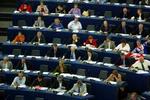Danmark har 14 pladser i det nye Europa-parlament. - Foto: Johnny Frederiksen 