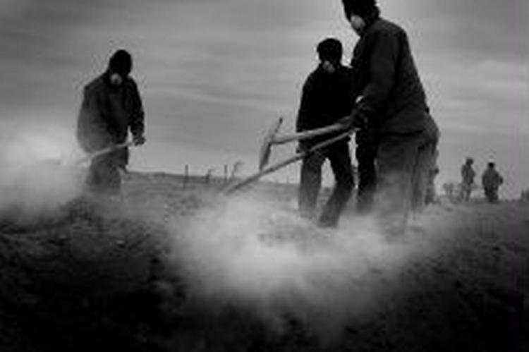 40.000 mistede livet under jordskælvet i Bam, Iran, i december. - Arkivfoto: Jan Grarup 