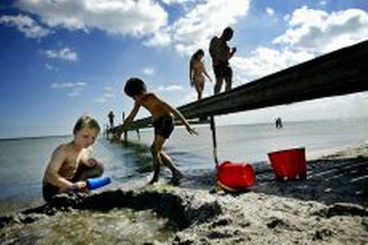 Skrappere regler for kvaliteten af badevand vil betyde flere midlertidige badeforbud i Danmark. - Foto: Thomas Borberg 