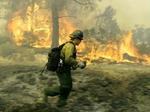 Brandfolk fra hele Californien blev kaldt til brandområderne. - Foto: AP 