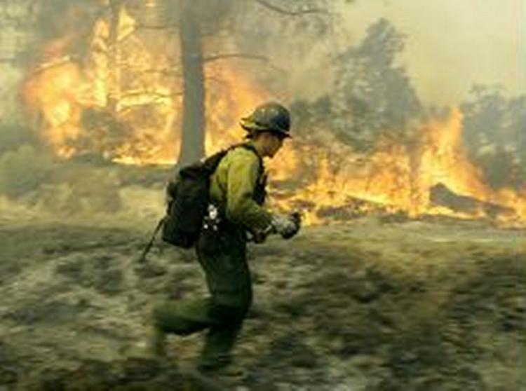 Brandfolk fra hele Californien blev kaldt til brandområderne. - Foto: AP 