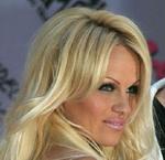 Hvis Pamela Anderson læser en nedladende blondinevits, vil hun højst sandsynligt være mere omhyggelig med ikke at lave fejl under intelligenstests. - Foto: AP 