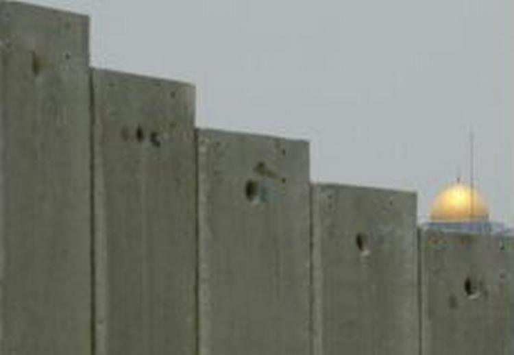 Muren adskiller palæstinenserne fra deres marker. - Foto: AP 