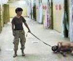 PRISONER ABUSE