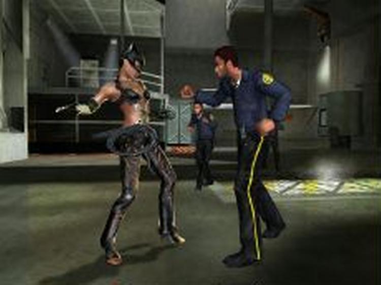 Grafikken og animationen er mestendels vellykket, men der stopper roserne ved  Catwoman , der excellerer i dårlig styring, håbløse kameravinkler og nedladende handling samt gameplay. 