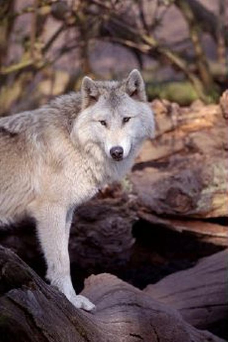 Arkivfoto: Claus Lunde 